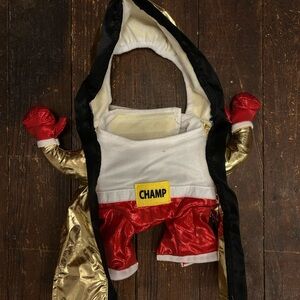 Boxer costume for pets